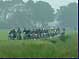 Foto's Willem Roggen Bromfietsrit 2007
