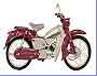 MA50celped / 1960