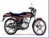 RG50 / 1981