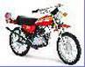 TS50L / 1974
