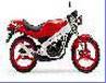 TV50 / 1991